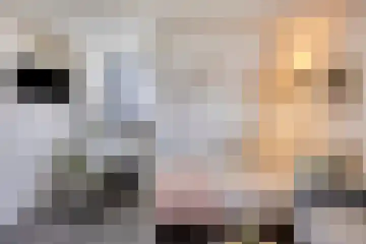 Rikkersdonk 7 Helmond thumbnail 66