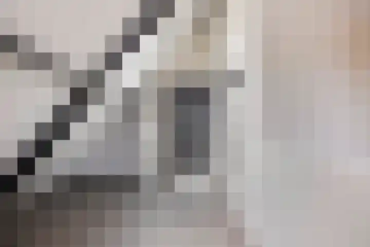 Rikkersdonk 7 Helmond thumbnail 72