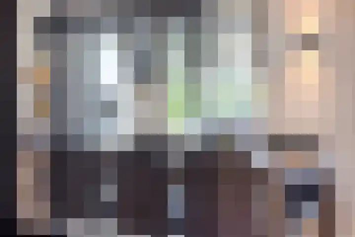 Rikkersdonk 7 Helmond thumbnail 9