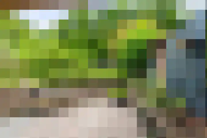 Rimburgerweg 287 Landgraaf thumbnail 24