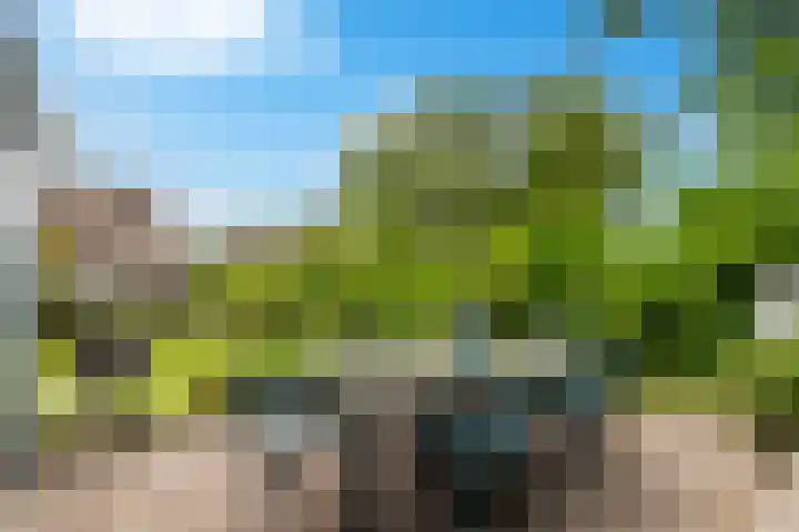 Rimburgerweg 287 Landgraaf thumbnail 27