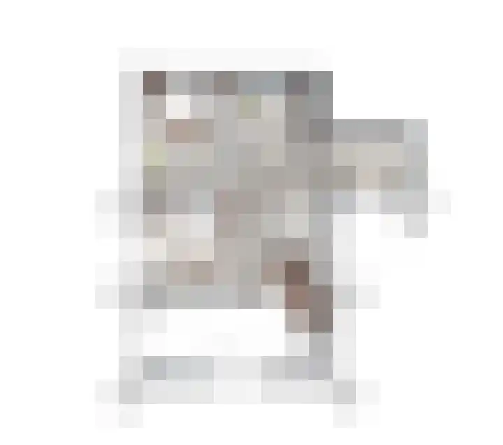 Ring 1 Hellevoetsluis thumbnail 6