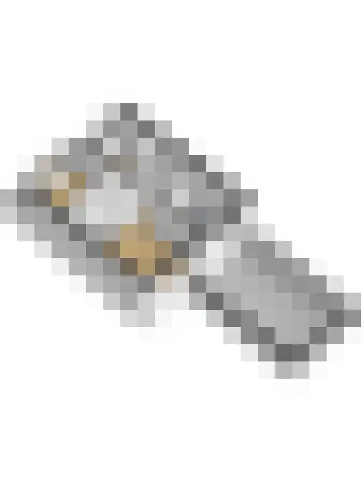 Ring 16 Hellevoetsluis thumbnail 38
