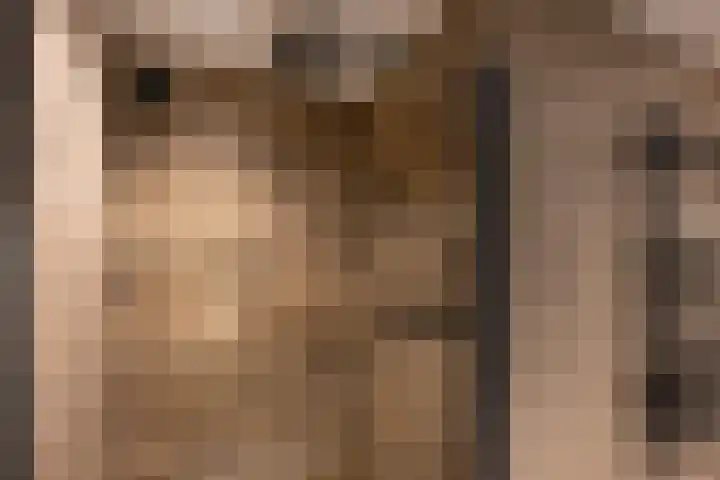 Ring 28 Middelharnis thumbnail 13