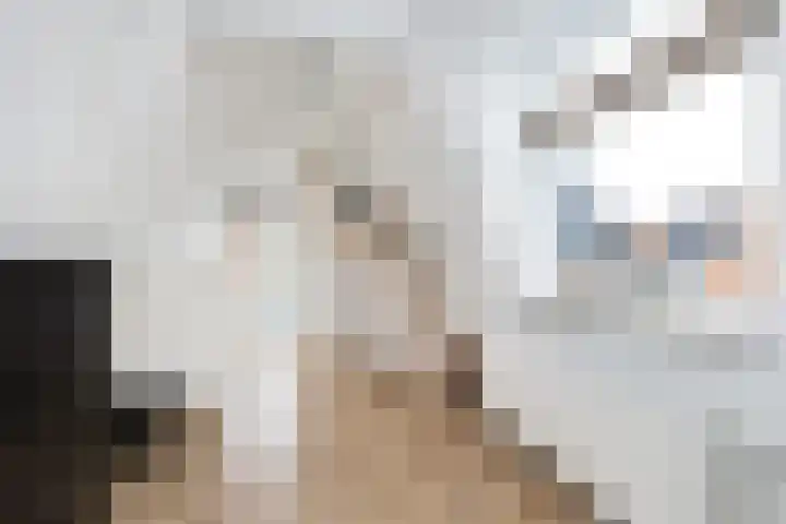 Ring 28 Middelharnis thumbnail 22