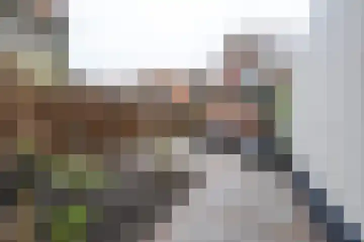 Ring 28 Middelharnis thumbnail 27