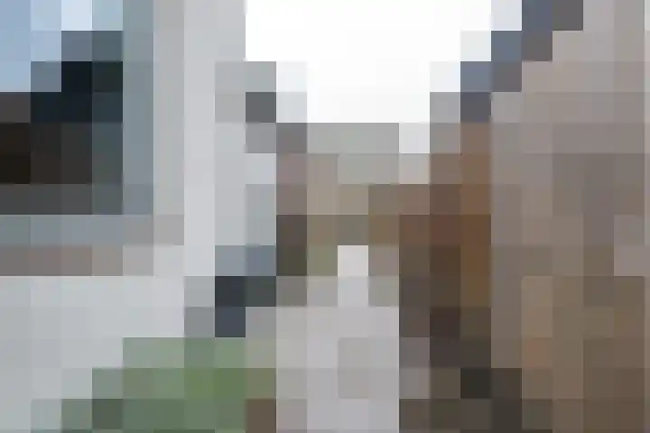 Ring 28 Middelharnis thumbnail 30