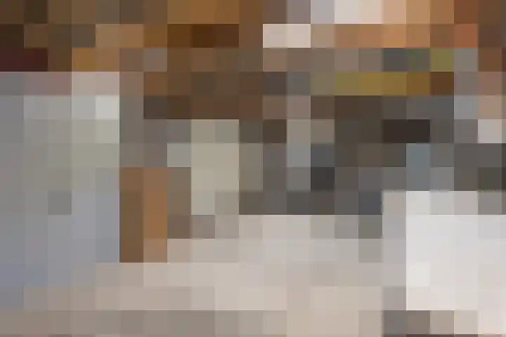Ring 28 Middelharnis thumbnail 32