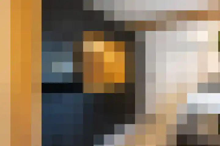 Ring 28 Middelharnis thumbnail 8