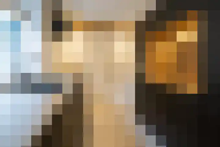 Ring 28 Middelharnis thumbnail 9