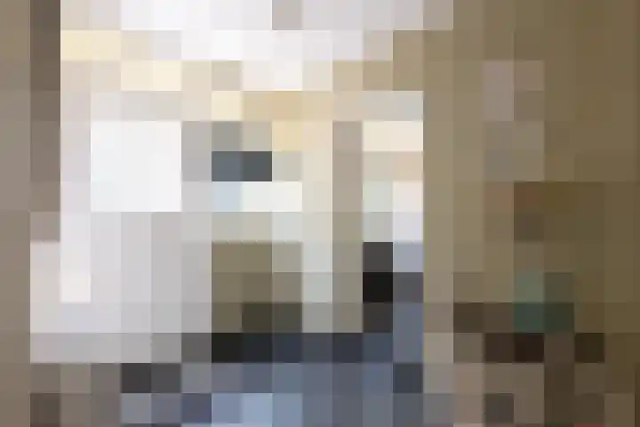 Ring 28 Oudenhoorn thumbnail 15