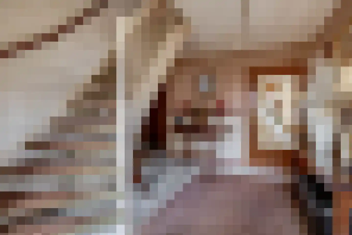 Ring 38 a Oudenhoorn thumbnail 14