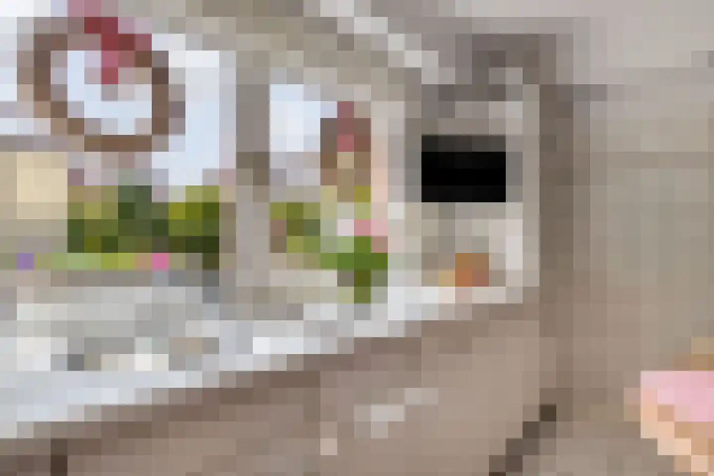 Ring 38 a Oudenhoorn thumbnail 24