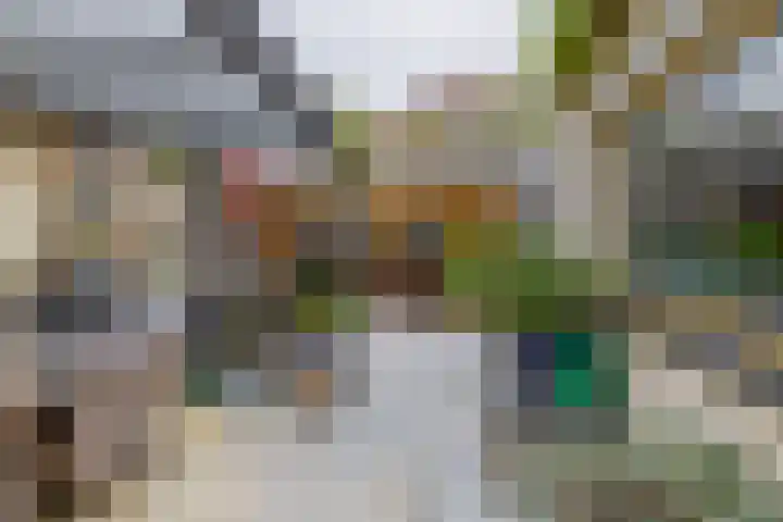 Ring 38 Middelharnis thumbnail 25