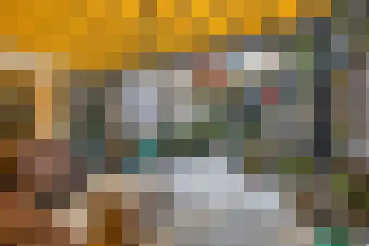 Ring 38 Middelharnis thumbnail 29