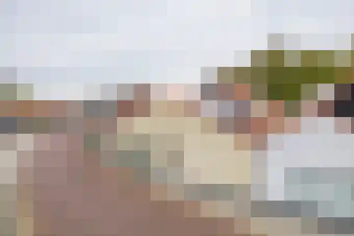Ring 38 Middelharnis thumbnail 30