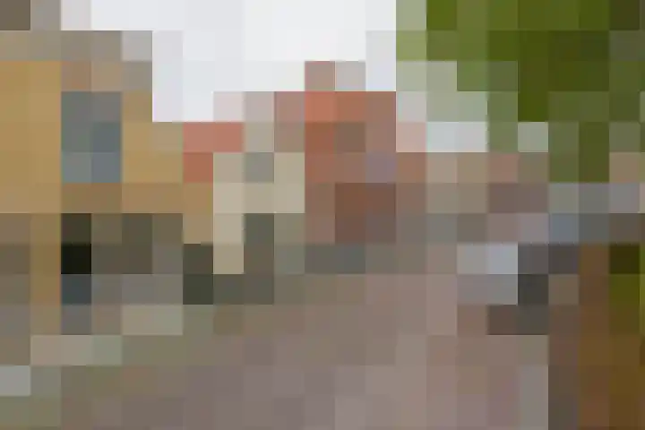Ring 38 Middelharnis thumbnail 31