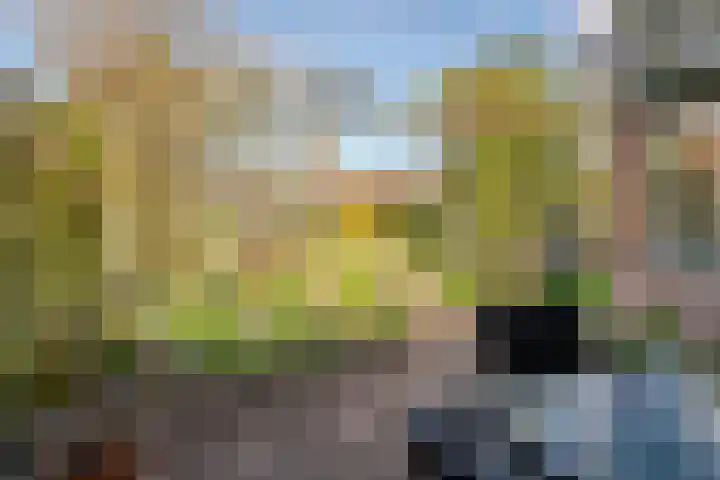 Ring 57 Nieuwdorp thumbnail 37