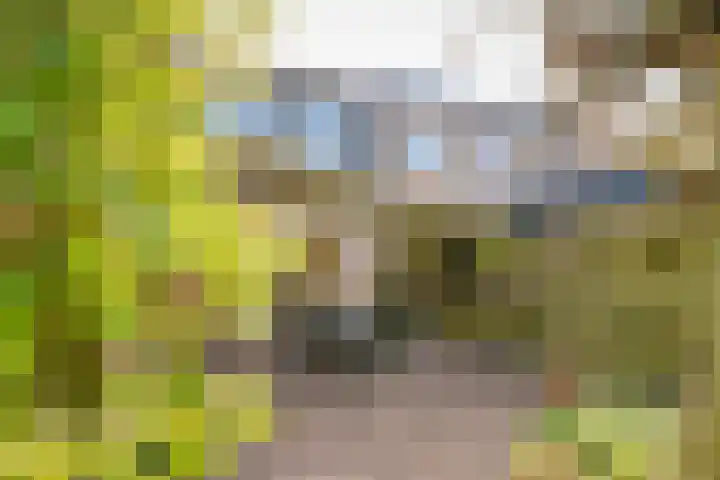 Ring 57 Nieuwdorp thumbnail 39