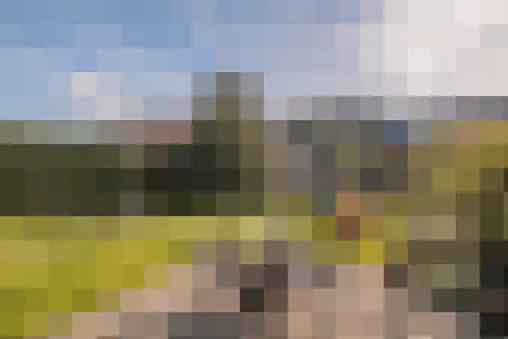Ring 57 Nieuwdorp thumbnail 42