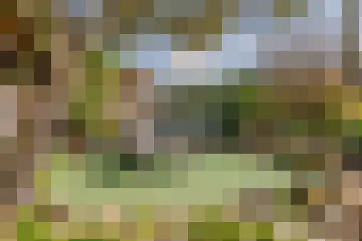 Ring 57 Nieuwdorp thumbnail 47