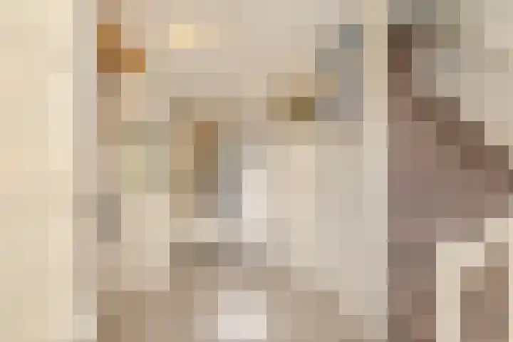 Ring 57 Nieuwdorp thumbnail 6