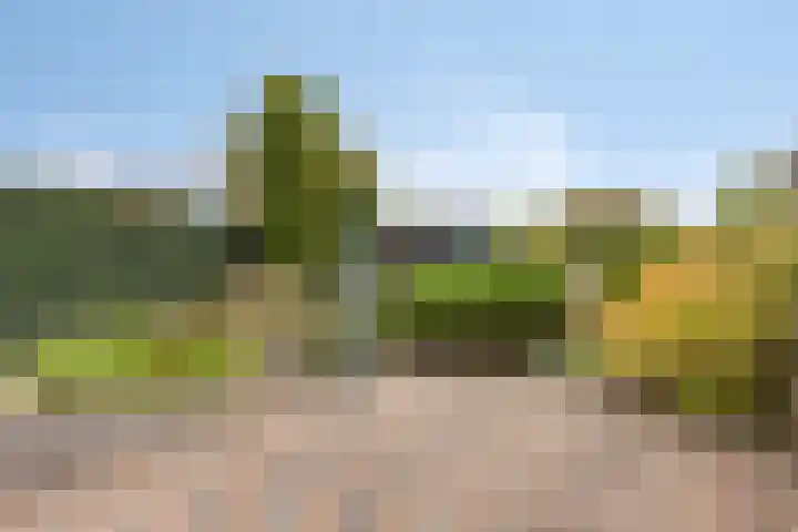 Ring 64 Sint-Annaland thumbnail 6