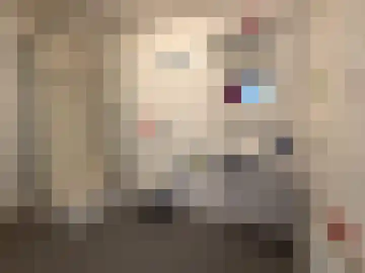 Ring 7 Nieuwdorp thumbnail 19
