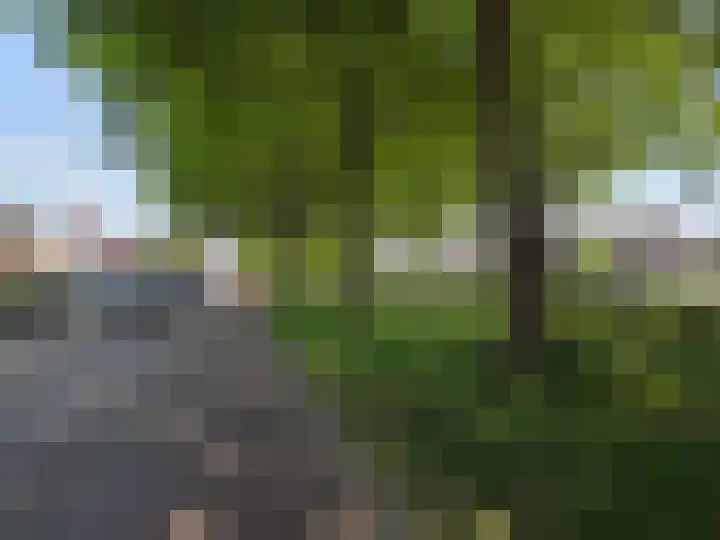 Ring 7 Nieuwdorp thumbnail 6