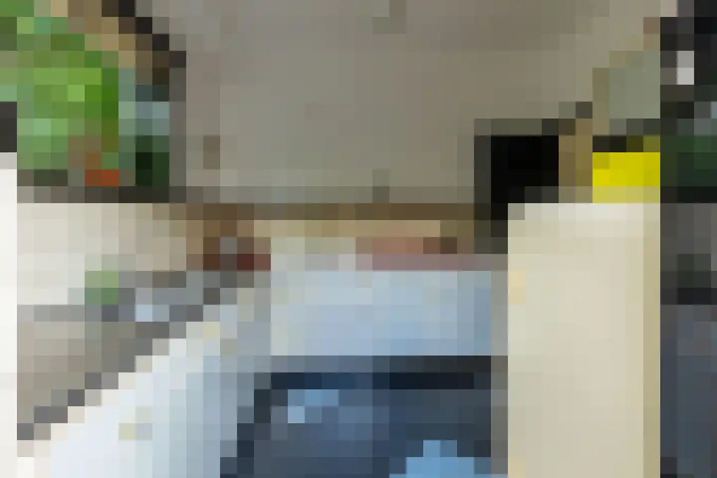 Ringallee 81 Velp thumbnail 15