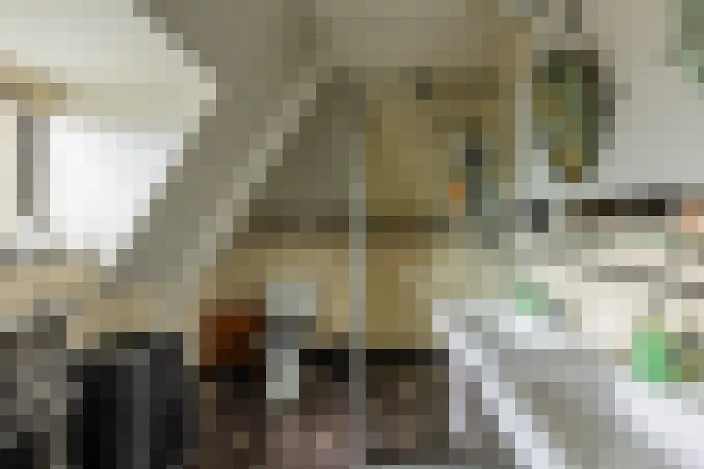 Ringallee 81 Velp thumbnail 24