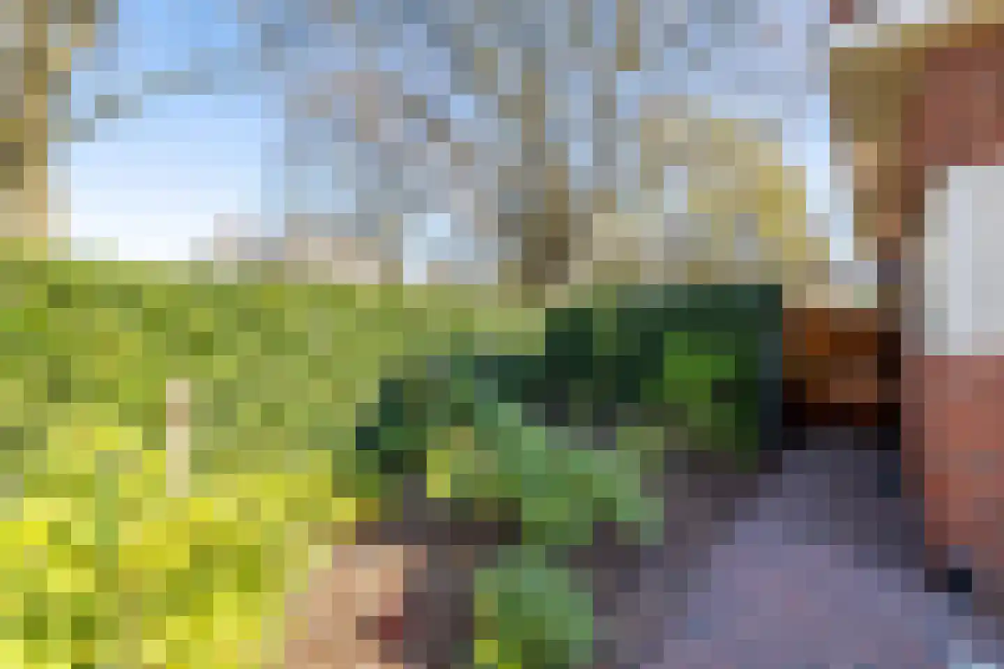 Ringallee 81 Velp thumbnail 35