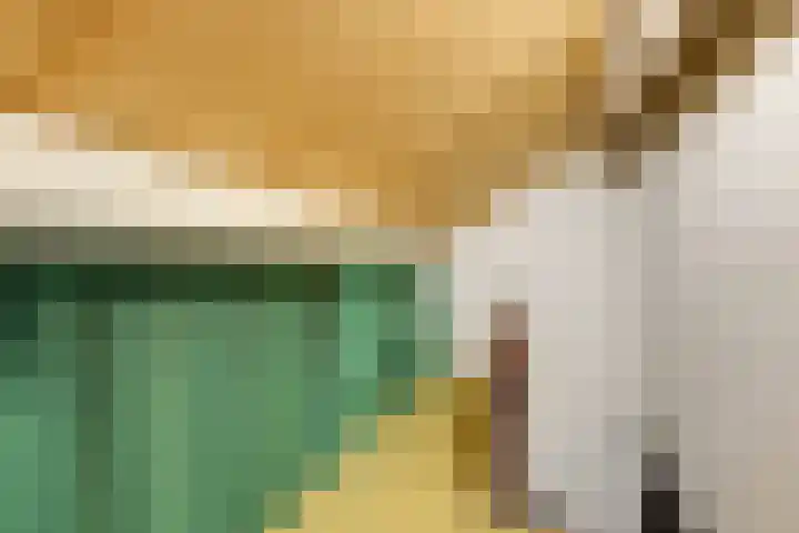 Ringbaan 76 Molenhoek thumbnail 33