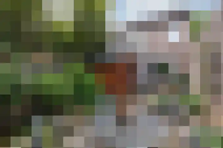 Ringbaan 76 Molenhoek thumbnail 34