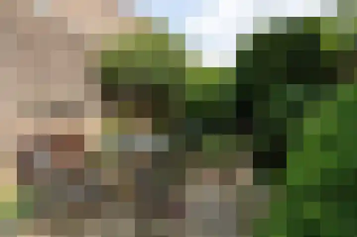 Ringbaan 76 Molenhoek thumbnail 35