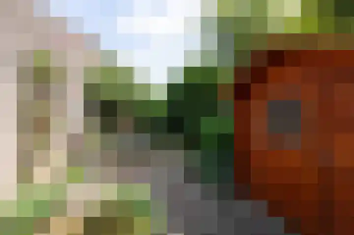 Ringbaan 76 Molenhoek thumbnail 36