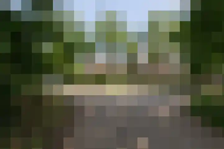Ringbaan 76 Molenhoek thumbnail 43