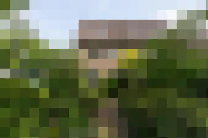 Ringbaan 76 Molenhoek thumbnail 53