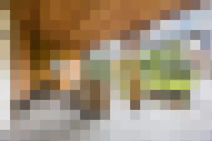 Ringbaan-Noord 14 Uden thumbnail 37
