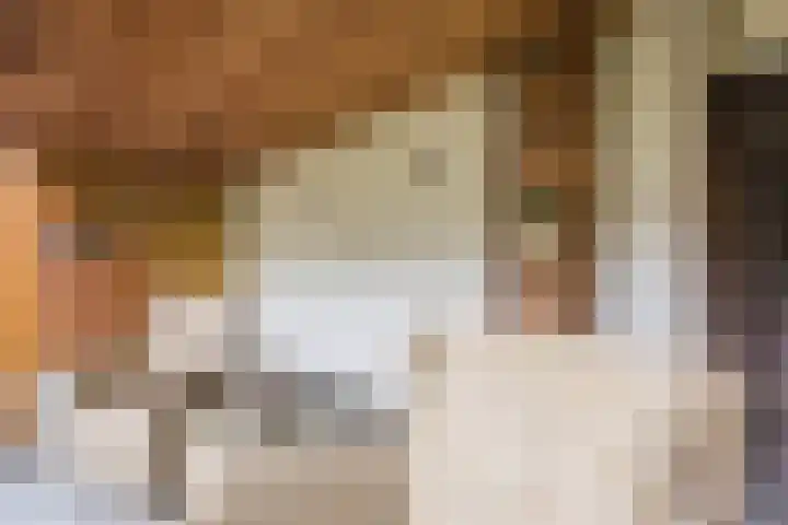 Ringbaan-Noord 14 Uden thumbnail 38
