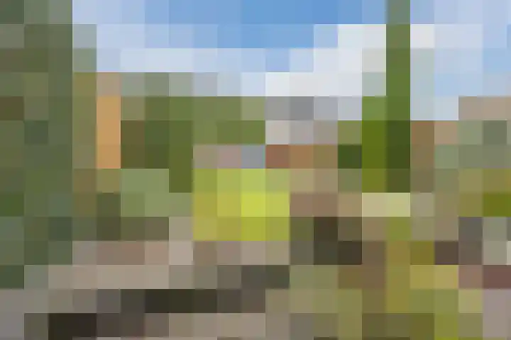 Ringbaan-Noord 14 Uden thumbnail 39