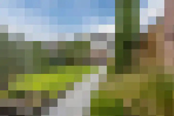 Ringbaan-Noord 14 Uden thumbnail 40