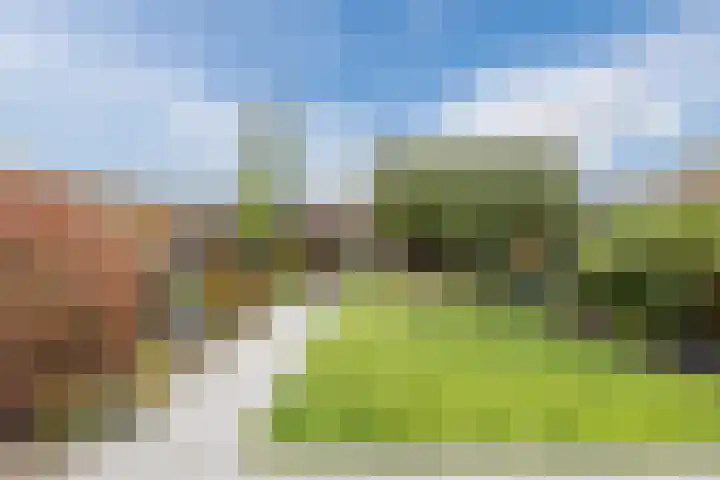 Ringbaan-Noord 14 Uden thumbnail 46