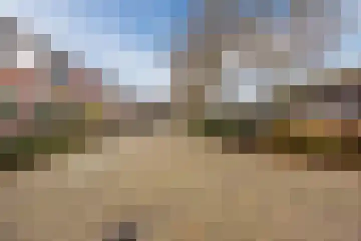 Ringbaan-Noord 14 Uden thumbnail 51