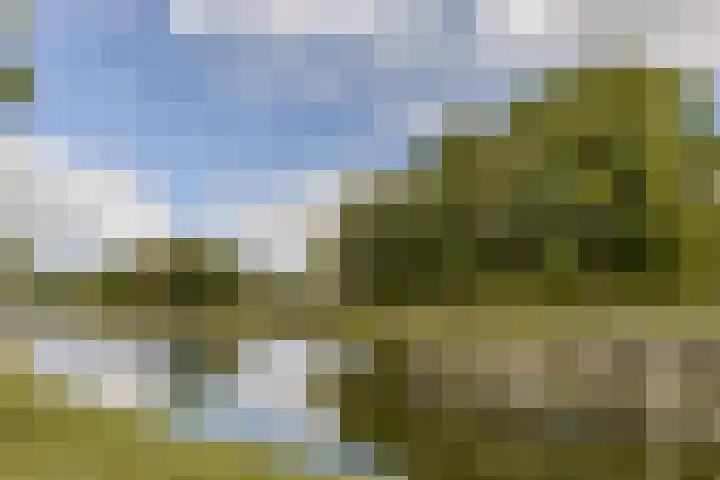 Ringbaan-Oost 24 Tilburg thumbnail 37