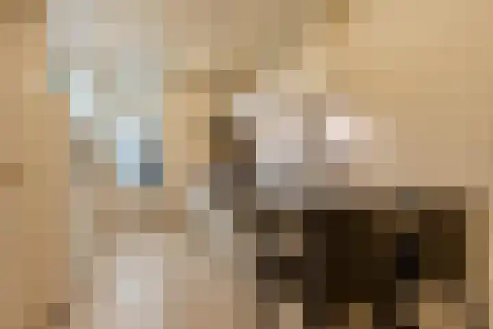 Ringbaan-Oost 24 Tilburg thumbnail 7