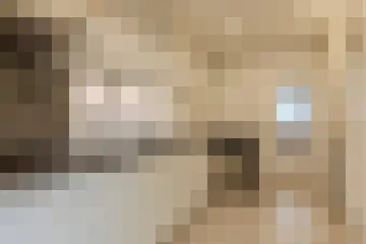 Ringbaan-Oost 24 Tilburg thumbnail 8