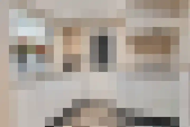 Ringbaan-Oost 379 Tilburg thumbnail 17