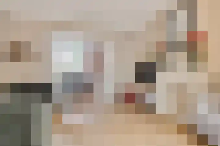 Ringbaan-Oost 379 Tilburg thumbnail 7