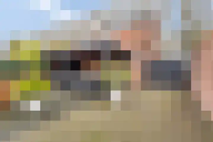 Ringbaan-Zuid 147 Tilburg thumbnail 16